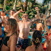 champagne malia