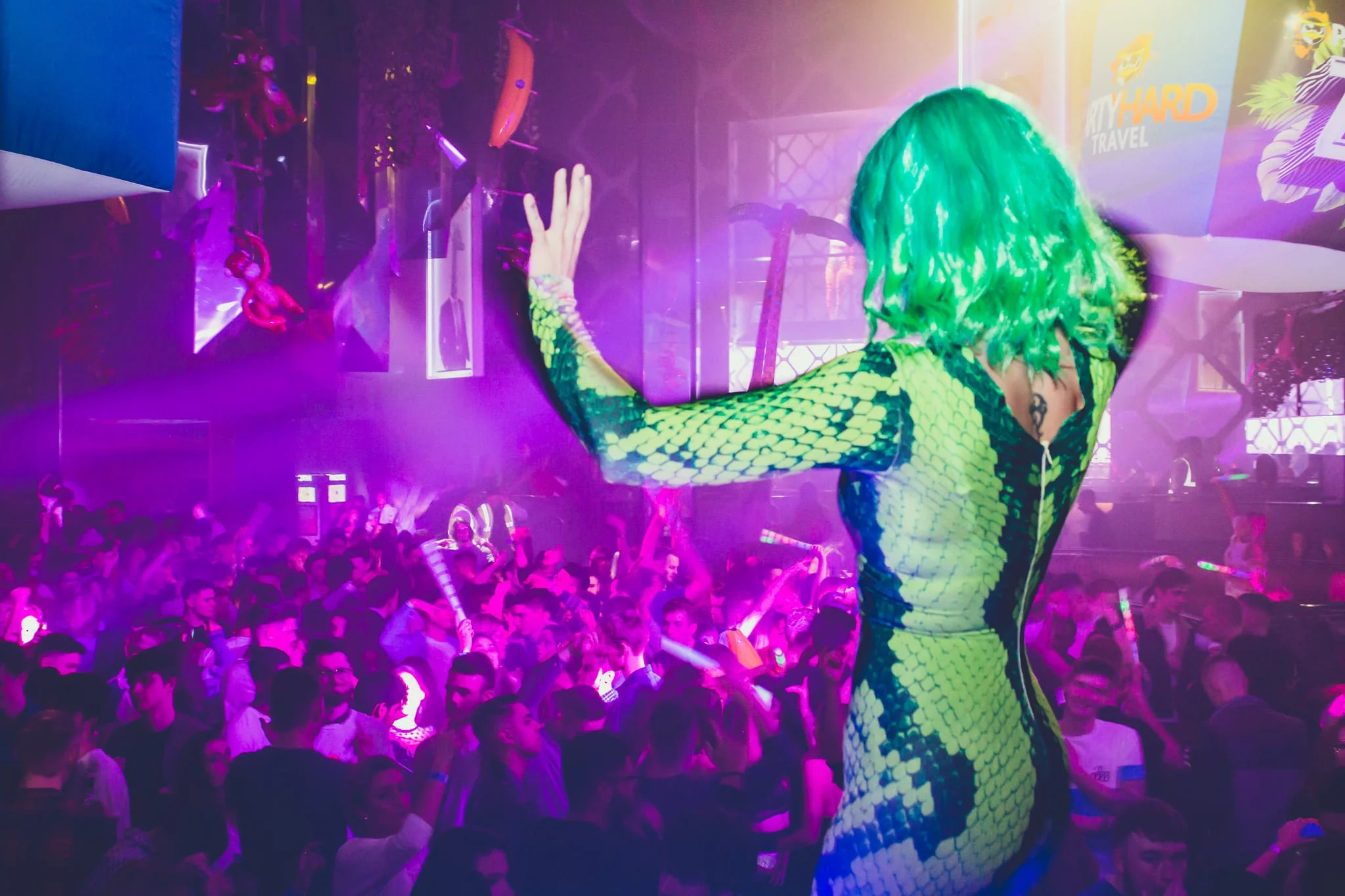 party-hard-at-the-zoo-kavos