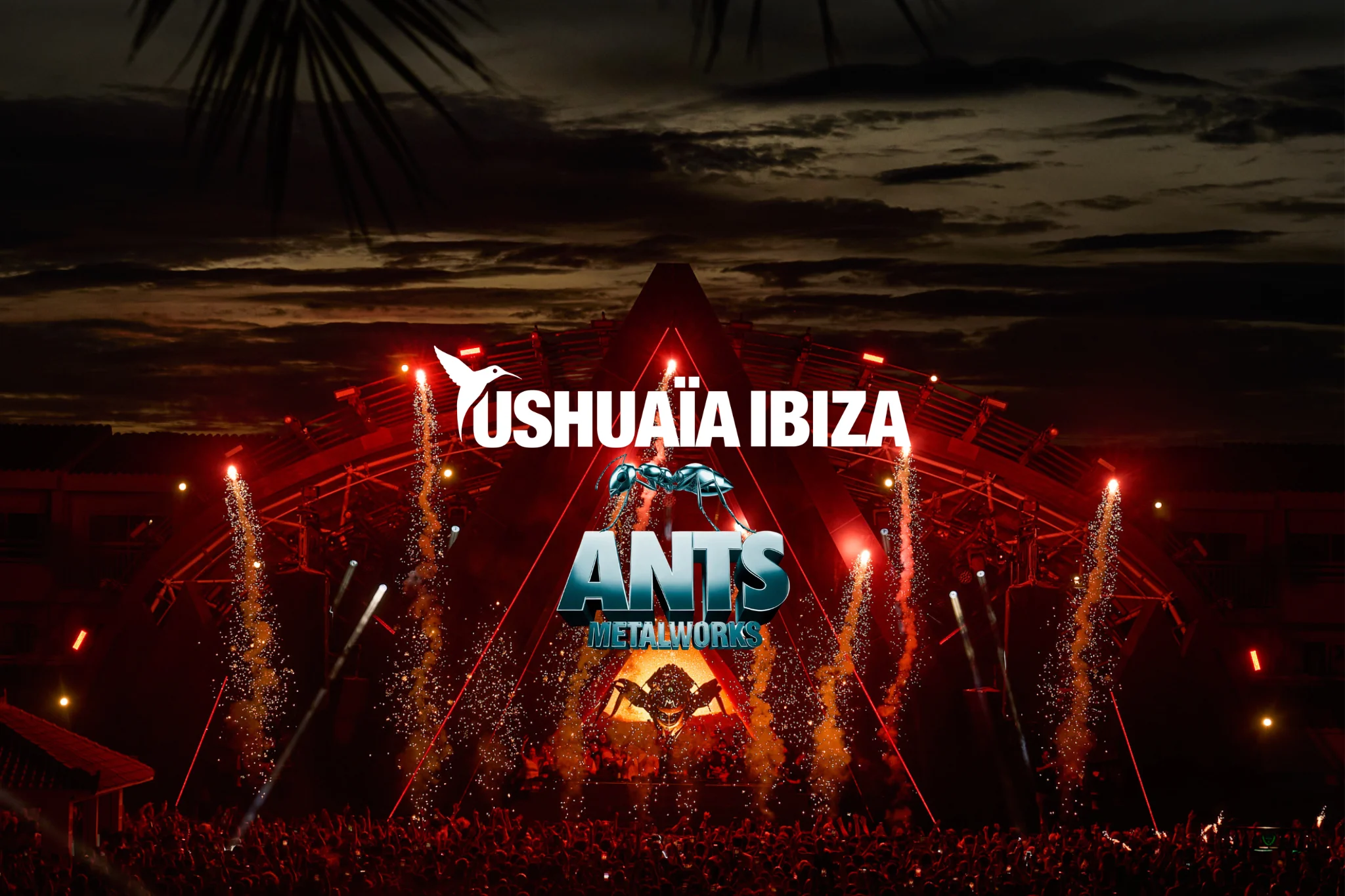 Ants Ibiza Ushuaia