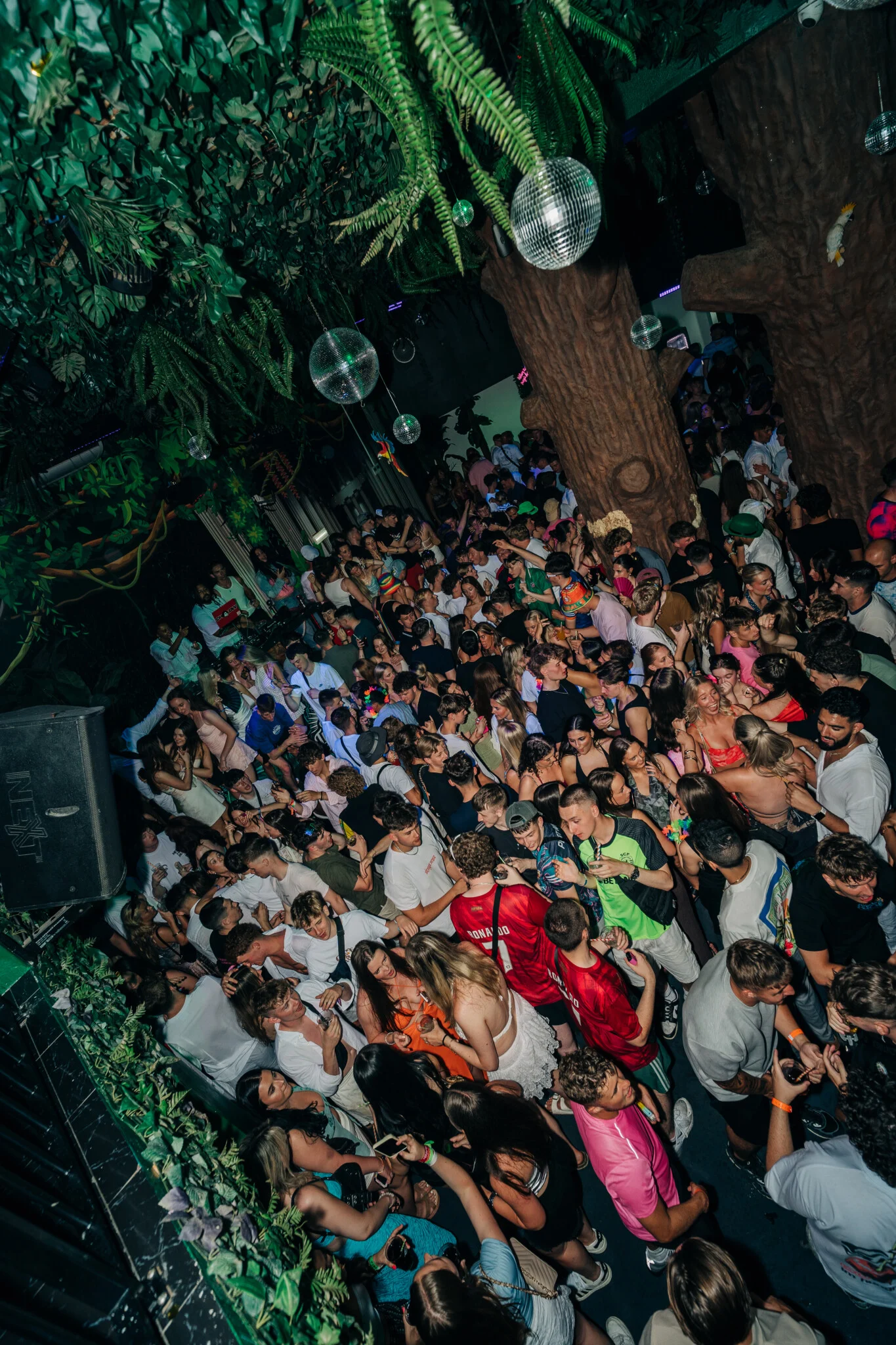 Packed dancefloor at Club Tropicana Albufeira with partygoers raving under jungle decor and disco balls all night long.