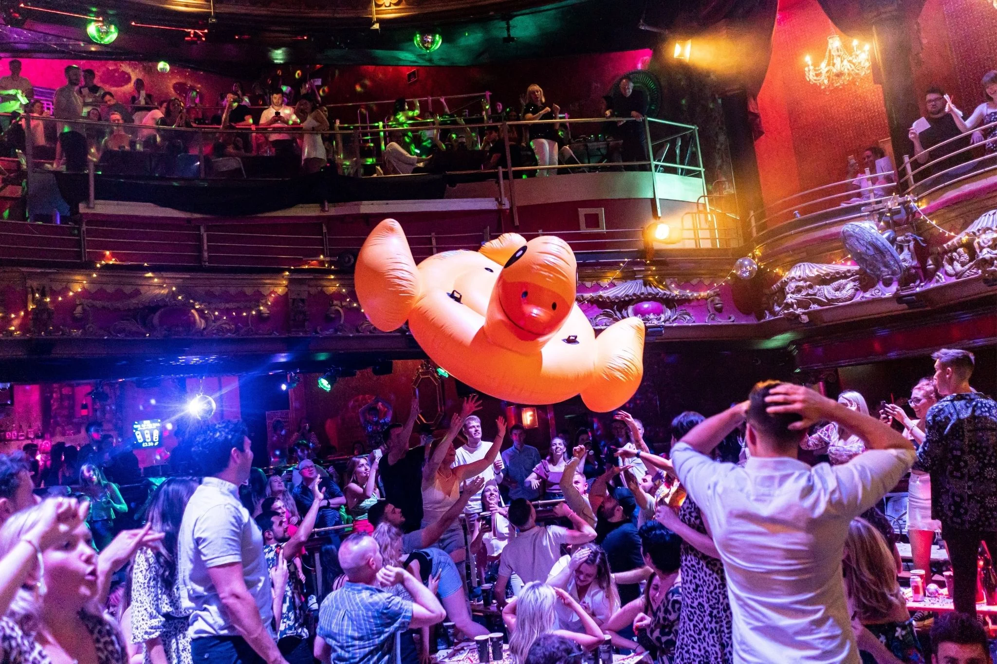 Bongos Bingo Albufeira