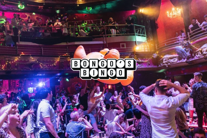 Bongos Bingo Albufeira